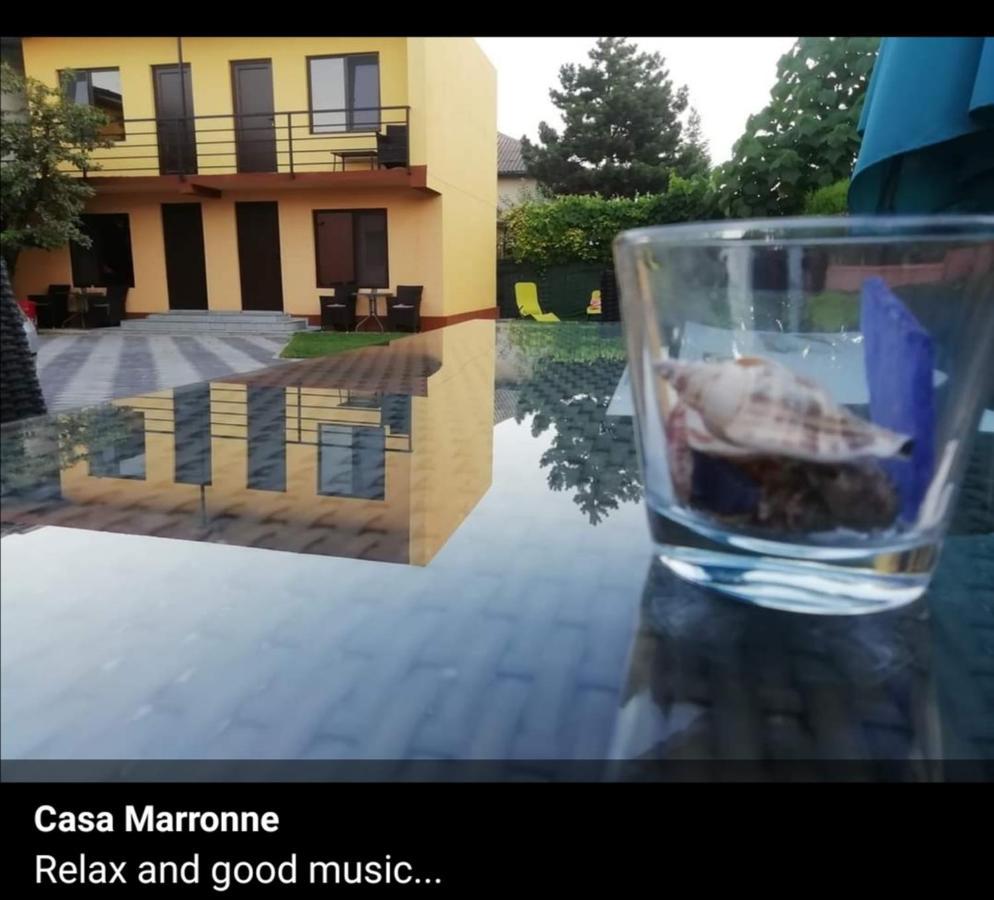 科斯蒂内什蒂 Casa Marronne酒店 外观 照片